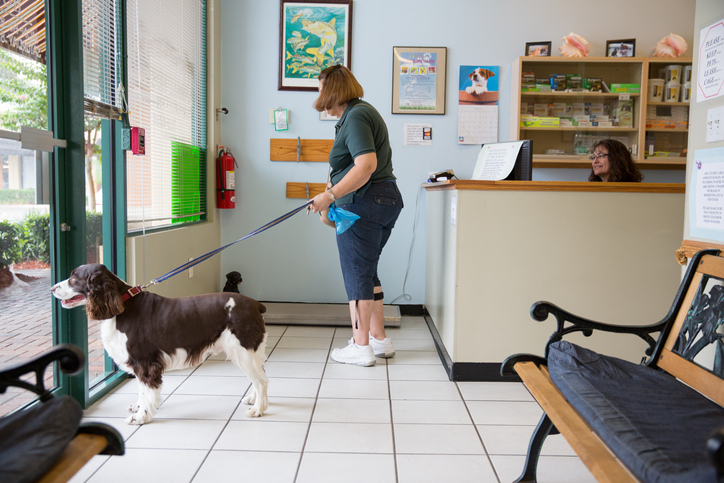 Woman at the vet with her dog