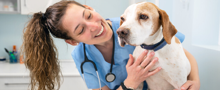 veterinarian smiling with a dog
