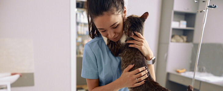 Female veterinarian holding a baby kitten