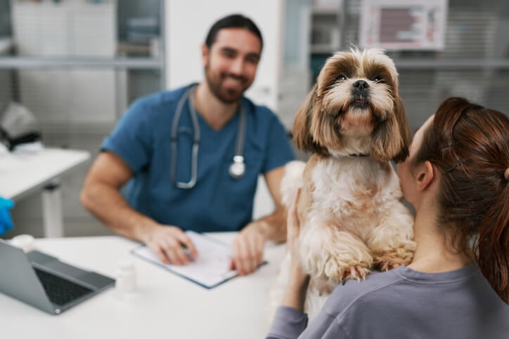 Vet and dog and client