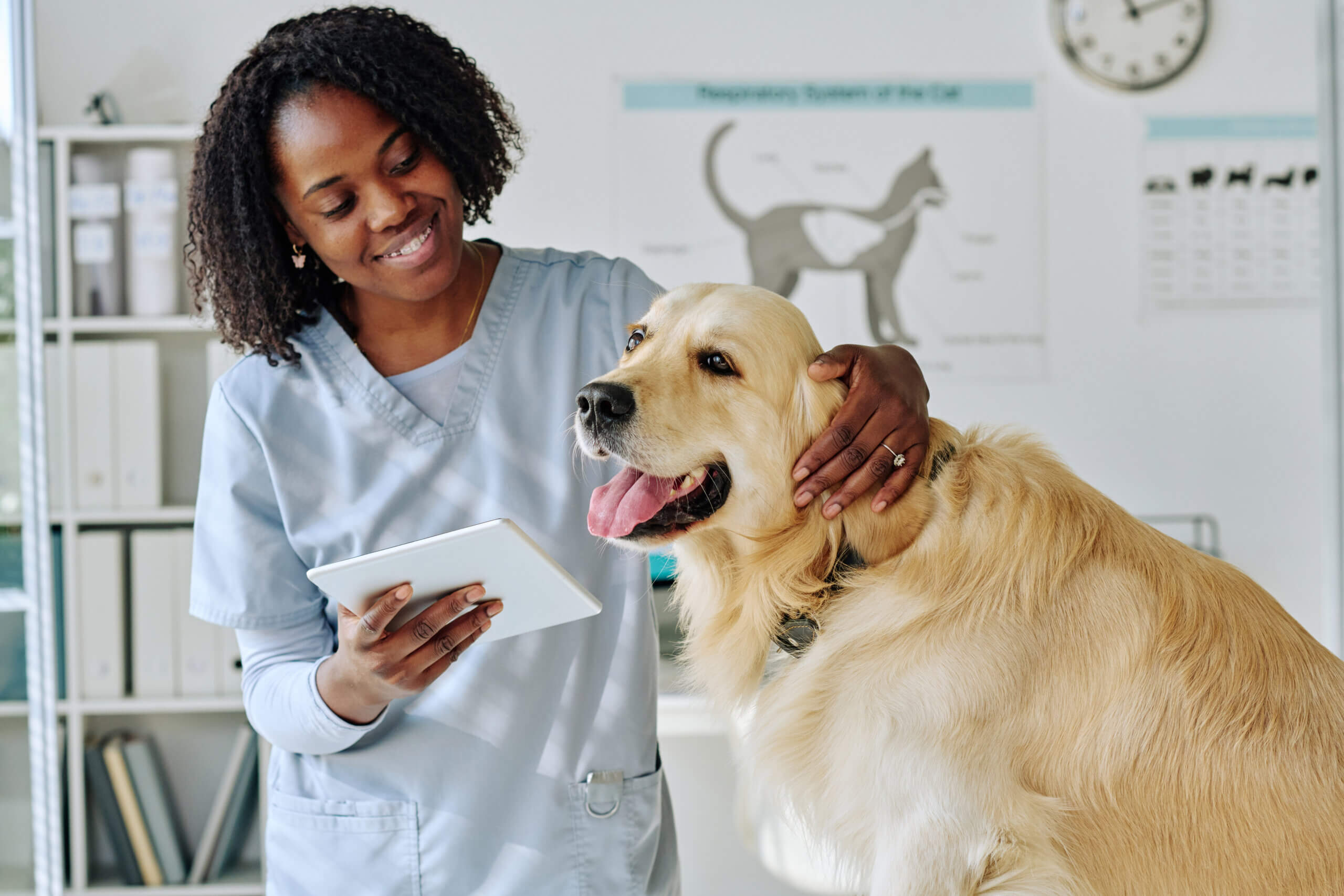 a vet who is about do do a veterinary startup and need to know the legal regulations