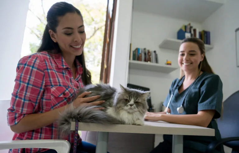 Woman with cat at a veterinary practice