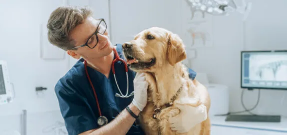 A vet hugs a dog